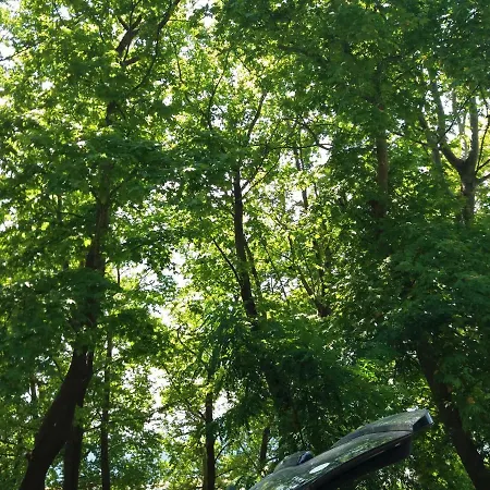 Leptokarija 아파트 렙토카리아